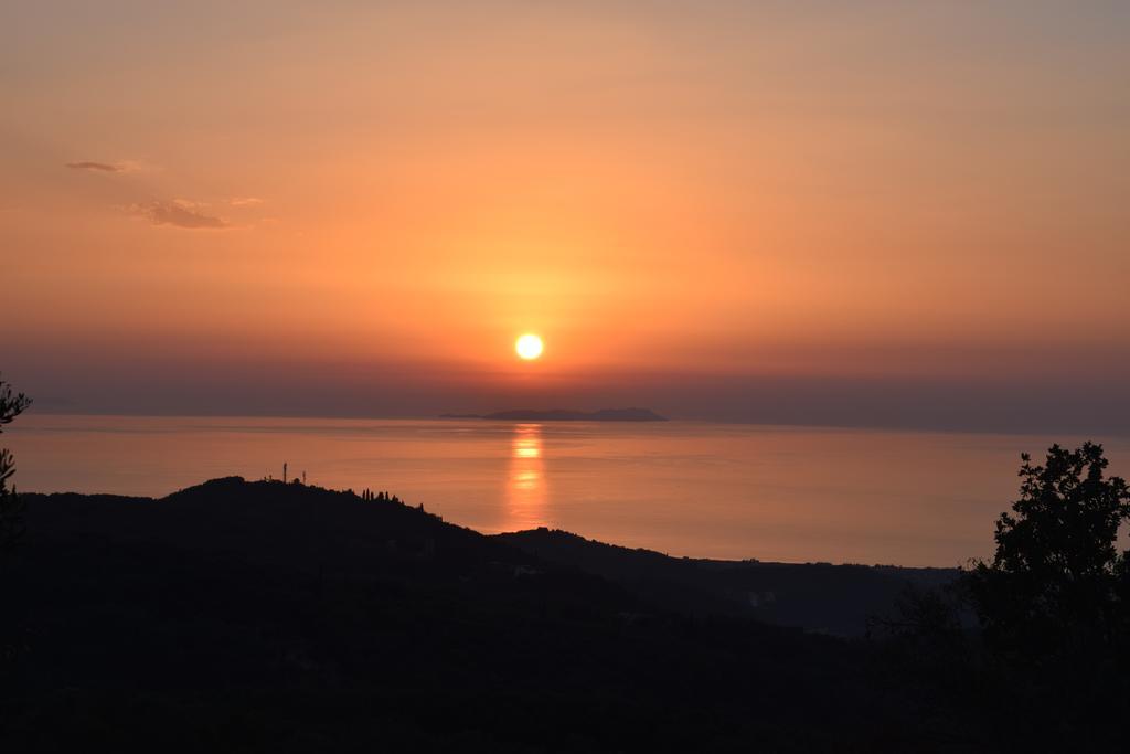 Olive Villas Αναπαυτήρια Εξωτερικό φωτογραφία
